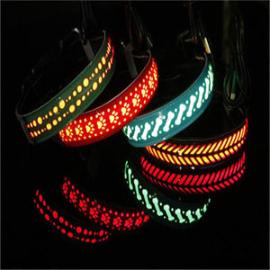 LED light collar pet collar